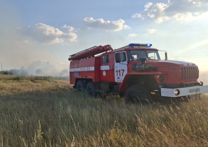 На площади 200 квадратных метров горела сухая трава в Богатовском районе 