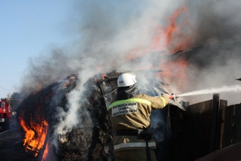 В Пестравском районе в огне пожара погибли теленок и 3 свиньи