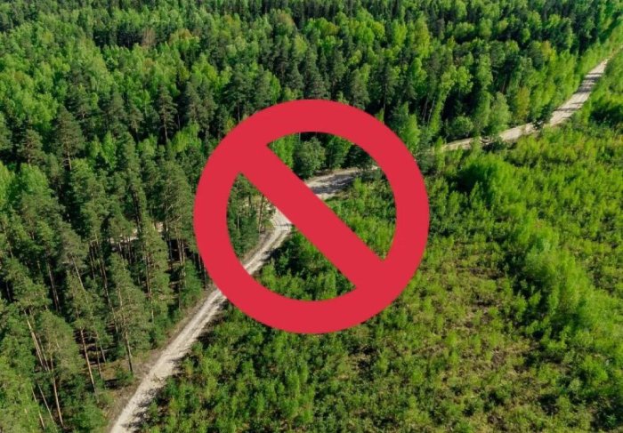 В Самарской области введен запрет на посещение лесного фонда с 22 апреля по 28 апреля