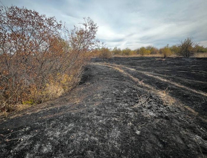 В Приволжском районе наши огнеборцы ликвидировали возгорание сухой травы на площади 500 квадратных метров