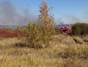 В Красноармейском муниципальном районе в садоводческом некоммерческом товариществе Новые Сады горела сухая трава