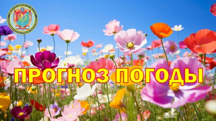 Изучаем прогноз погоды с 11 по 17 июня, подготовленный региональным ГКУ «Центр по делам гражданской обороны, пожарной безопасности и чрезвычайным ситуациям»