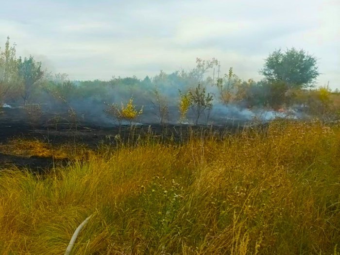 На заброшенных дачах Приволжского района горела сухая трава   