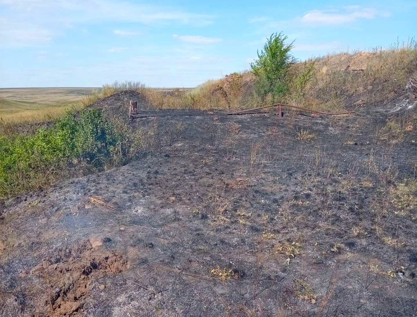 В Волжском районе ликвидирован ландшафтный пожар на площади 500 квадратных метров