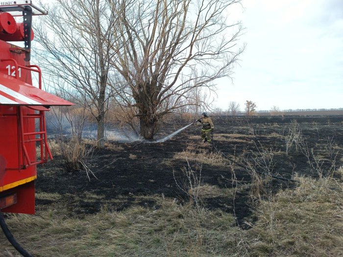 В минувшее воскресенье стерня горела и в Хворостянском районе