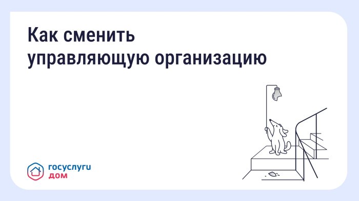 Что делать, если вы недовольны работой управляющей организации (УО)