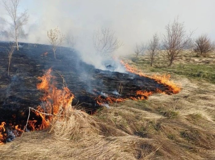 Вчера в Волжском районе огнеборцы пожарно-спасательного отряда № 46 нашего филиала 5 раз выезжали на тушение природных пожаров, общая площадь которых составила 1755 квадратных метров