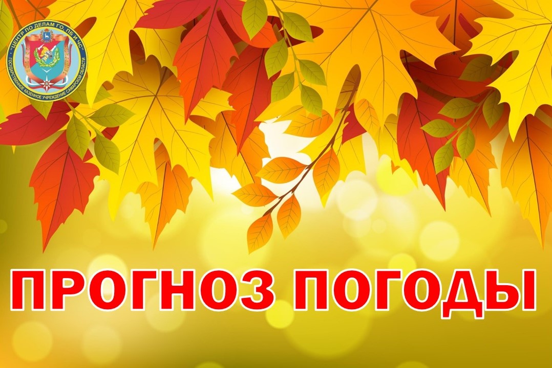 Бархатный сезон продолжается? Изучаем прогноз погоды на ближайшие семь дней