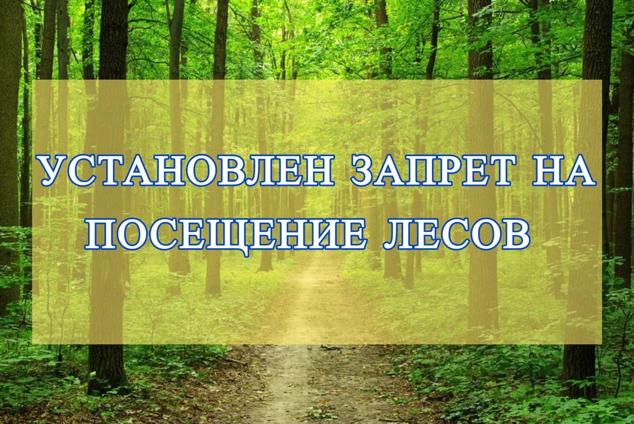 ВНИМАНИЕ!  ВНИМАНИЕ!