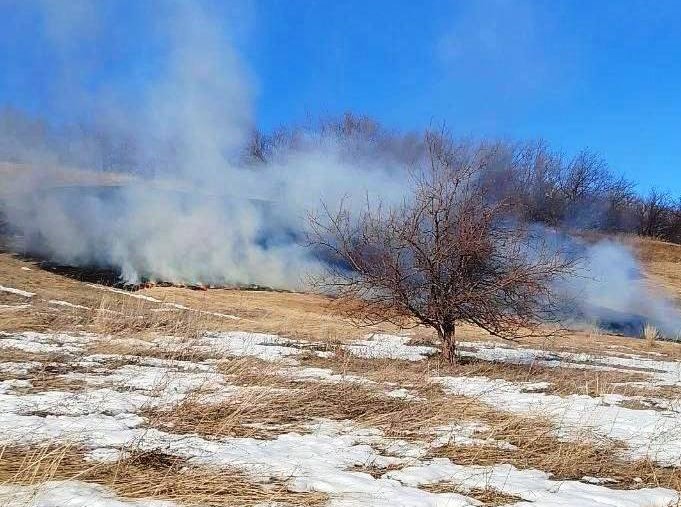 Природный пожар произошел вчера в Похвистневском районе