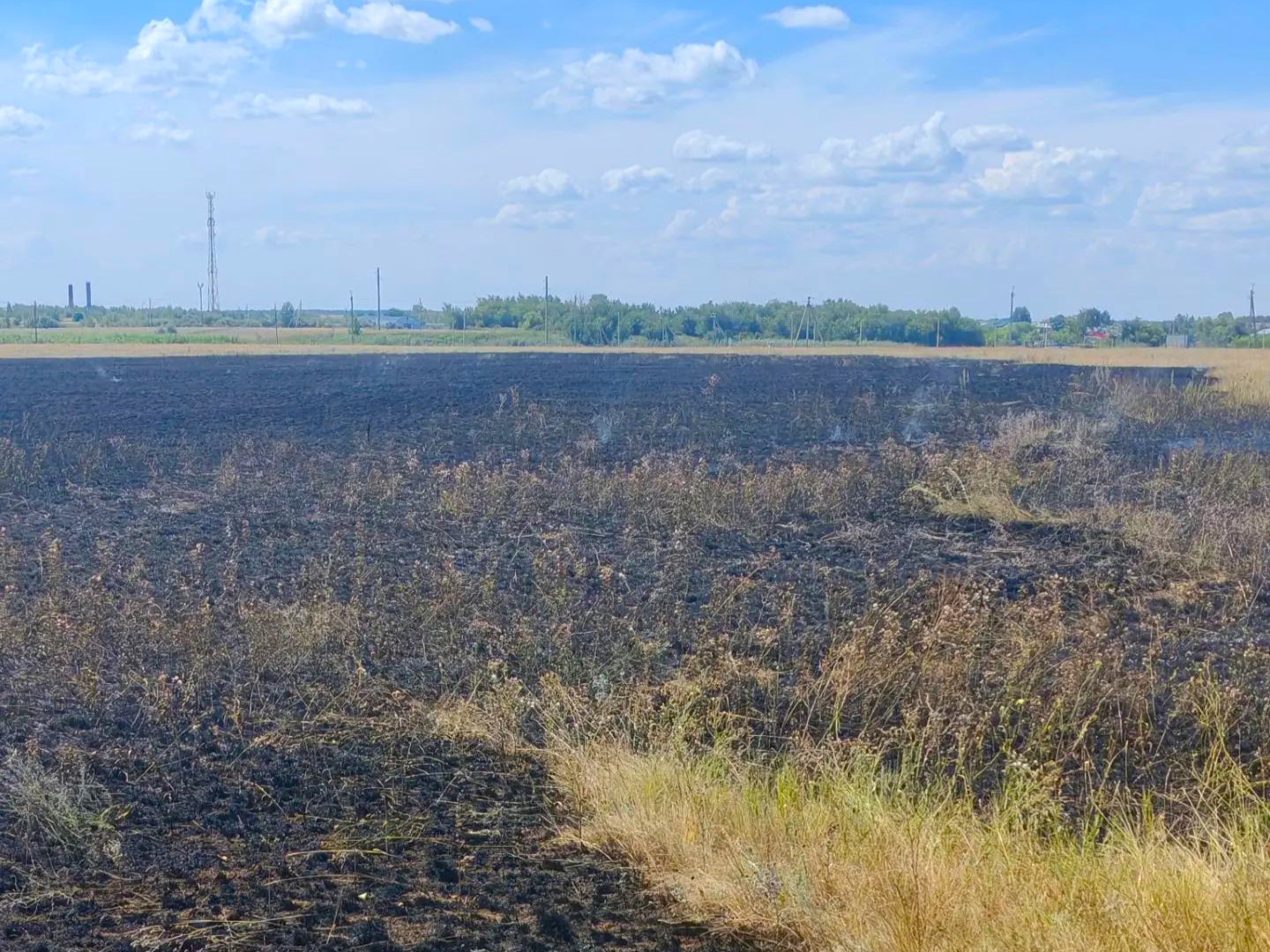Возгорание травы произошло сегодня в Пестравском районе