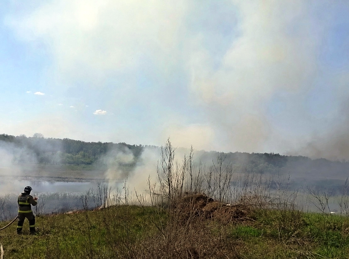 Возгорание сухой травы произошло сегодня и в Похвистневском районе
