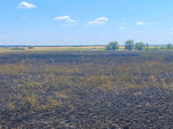 Возгорание травы произошло сегодня в Пестравском районе