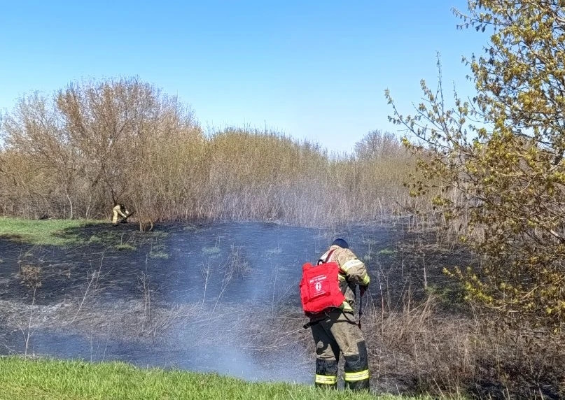 Красноярские огнеборцы дважды за выходной тушили природные пожары