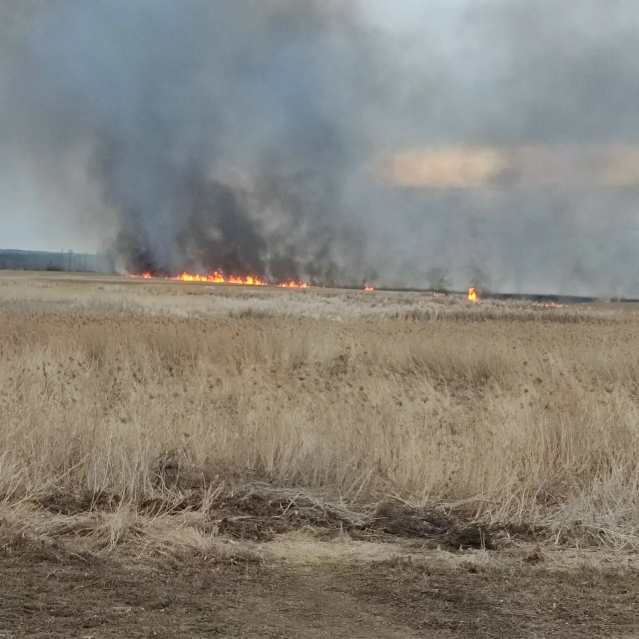 Наши огнеборцы ликвидировали пожар на площади 800 квадратных метров