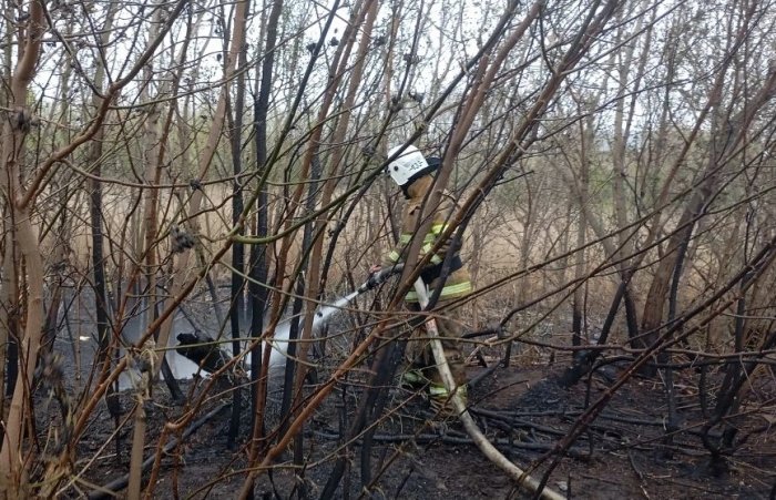 В селе Августовка Большечерниговского района горел камыш
