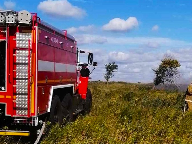Возгорание сухостоя произошло в Кинель-Черкасском районе