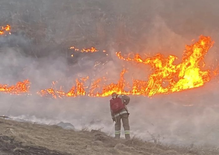В Сергиевском и Хворостянском районах горели мусор и трава