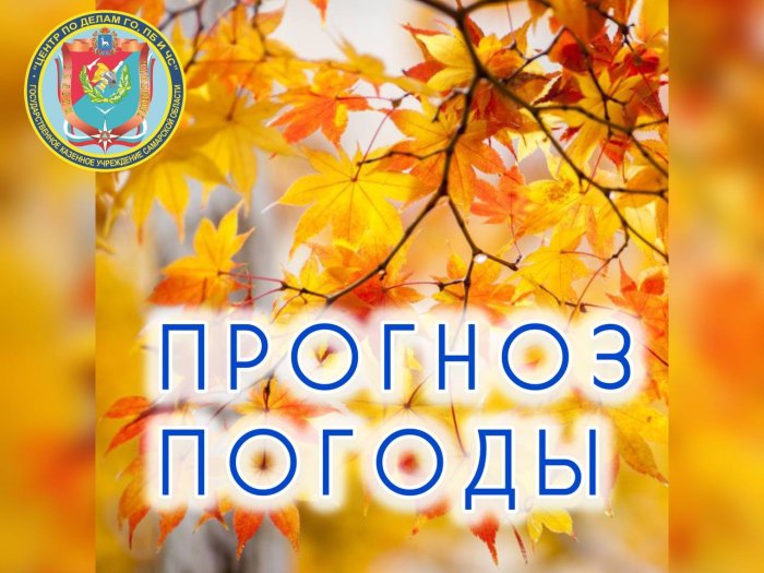 Что нам ждать от погоды в ближайшие семь дней? Изучаем...