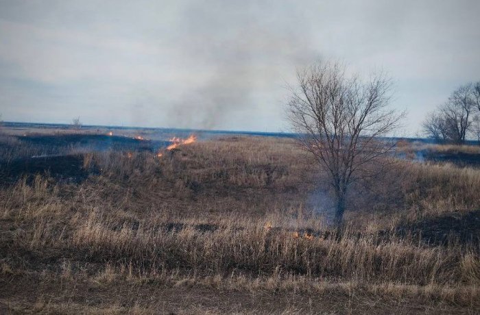 Огнеборцы пожарно-спасательного отряда № 44 ликвидировали природный пожар