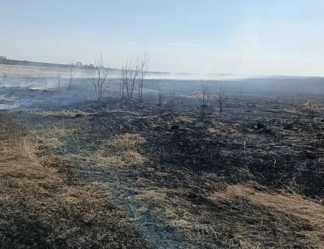 В выходные в Кинель-Черкасском районе горели трава и мусор