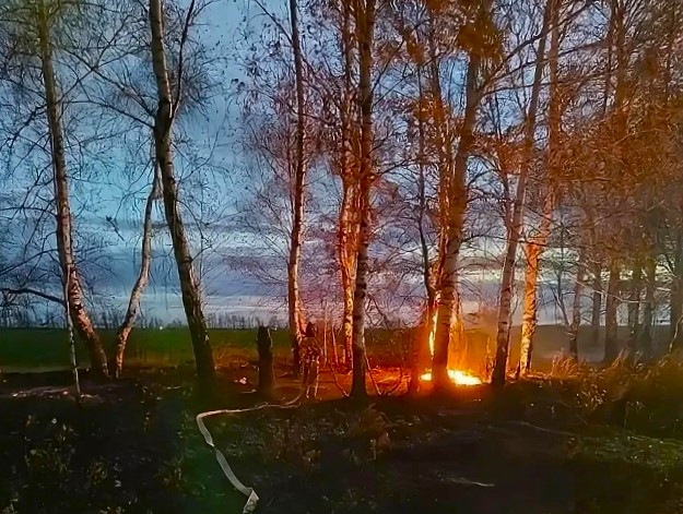 В Челно-Вершинском районе произошло возгорание сухой травы