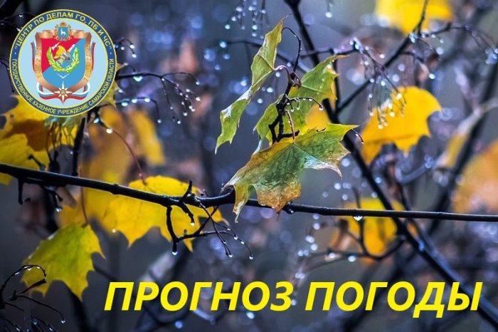 Встречаем октябрь: заряжаемся мелодией листопада и симфонией осеннего дождя