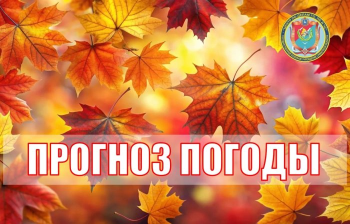 Октябрь, ты ли это? Осень в режиме «комфорт»