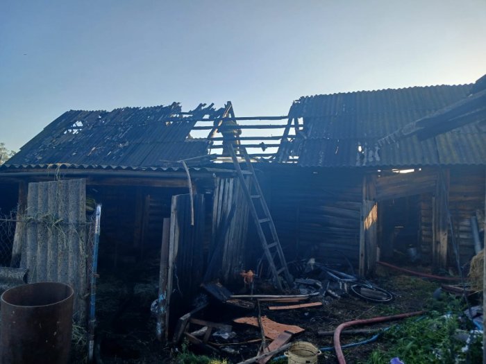 В Шенталинском районе наши пожарные-спасатели совместно с добровольной пожарной командой ликвидировали угрозу распространения огня