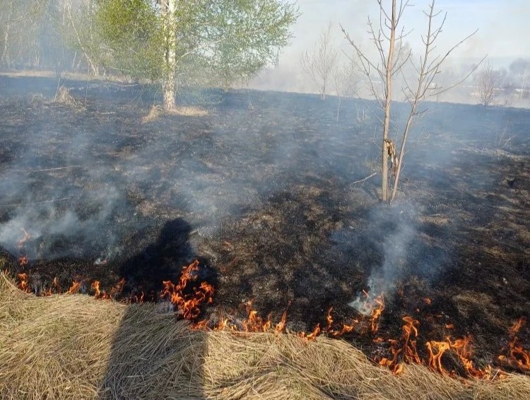 Вчера в Волжском районе огнеборцы пожарно-спасательного отряда № 46 нашего филиала 5 раз выезжали на тушение природных пожаров, общая площадь которых составила 1755 квадратных метров