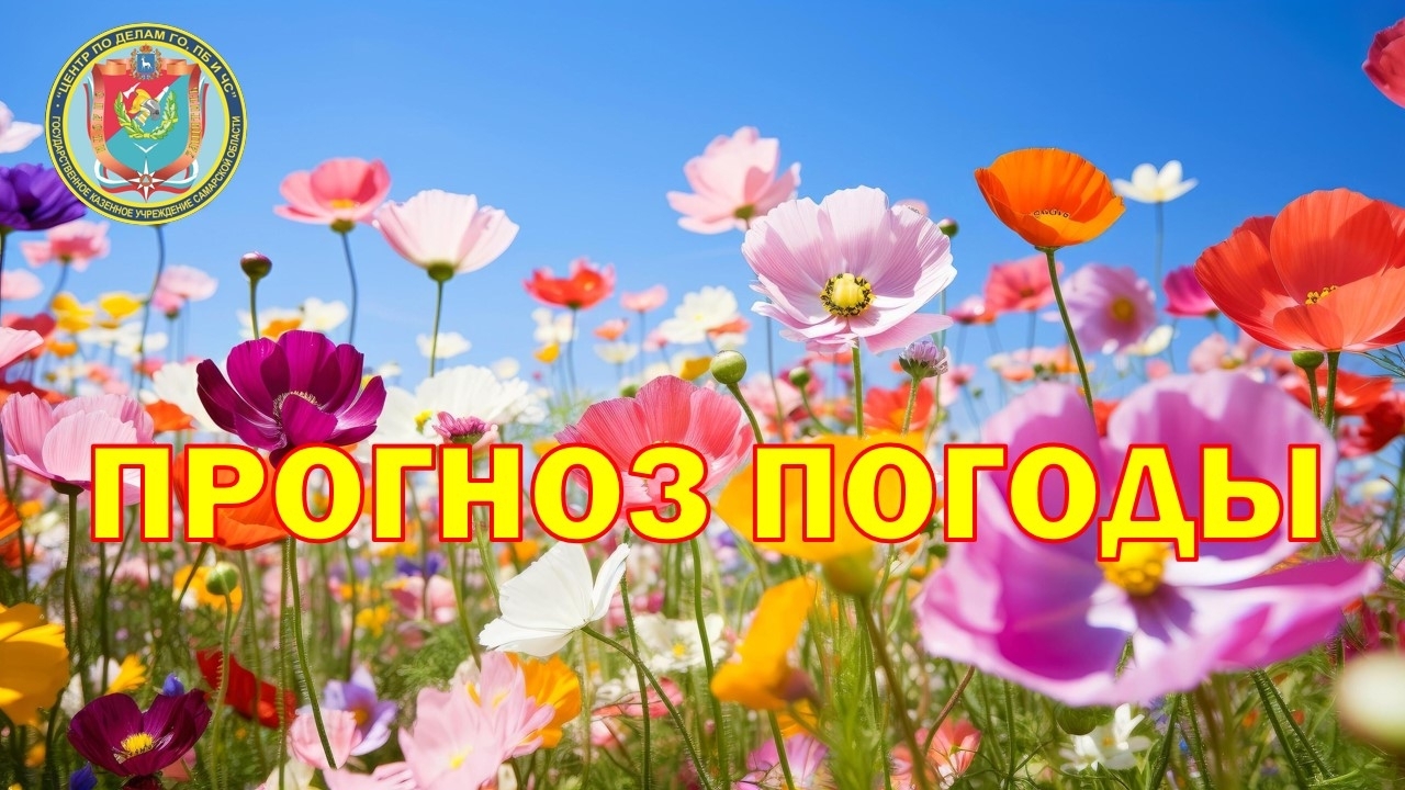 Изучаем прогноз погоды с 11 по 17 июня, подготовленный региональным ГКУ «Центр по делам гражданской обороны, пожарной безопасности и чрезвычайным ситуациям»