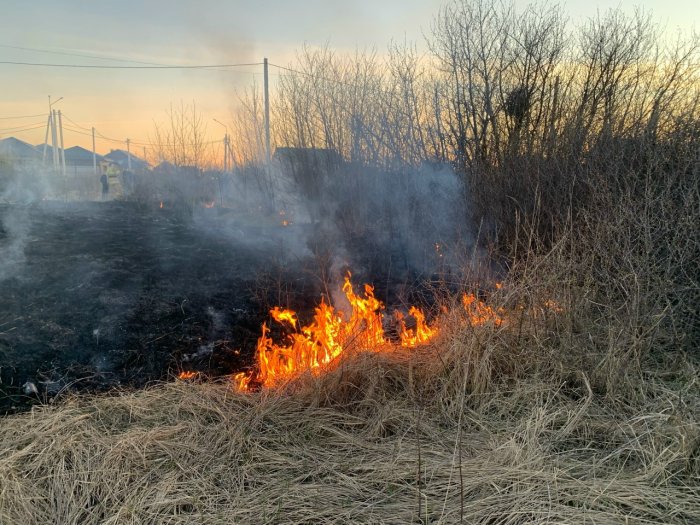 Личный состав пожарно-спасательного отряда № 39 осуществил семь выездов для ликвидации возгораний сухой травы и мусора