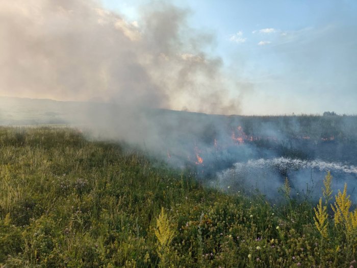 В Сергиевском районе дважды за день горел сухостой