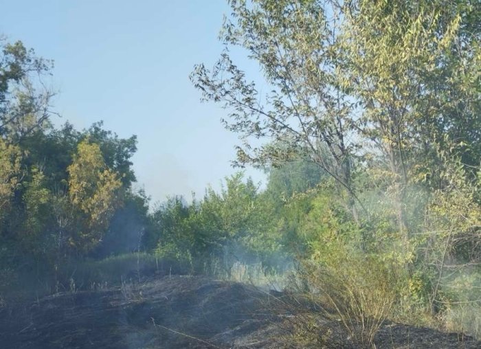 Возгорание сухой травы в Кинель-Черкасском районе. Огонь объял 300 квадратных метров