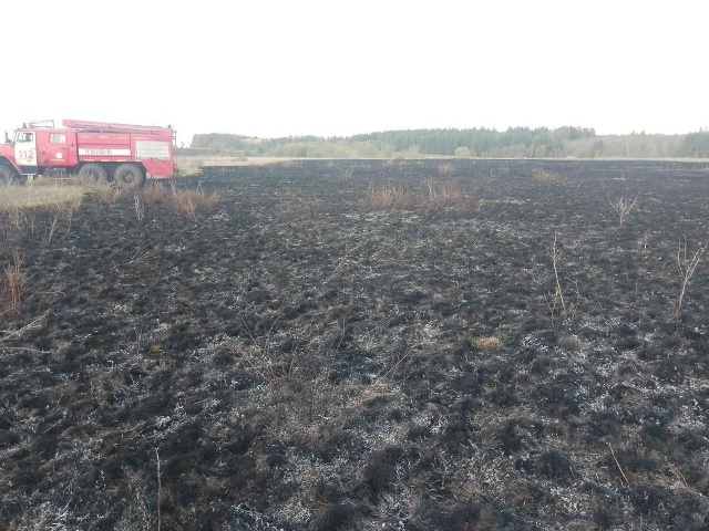 В Челно-Вершинском районе горела сухая трава на площади 300 квадратных метров