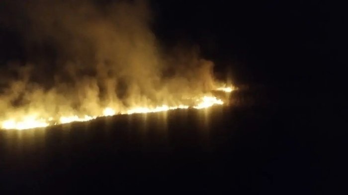 В Кинель-Черкасском районе огнем были объяты 400 квадратных метров