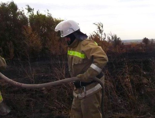 Пожар ранга 1-БИС произошел вчера днем в Красноармейском районе. Горели 2 500 квадратных метров сухостоя   