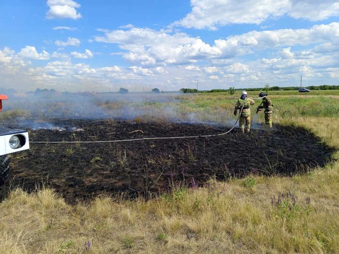 Возгорание травы произошло сегодня в Хворостянском районе