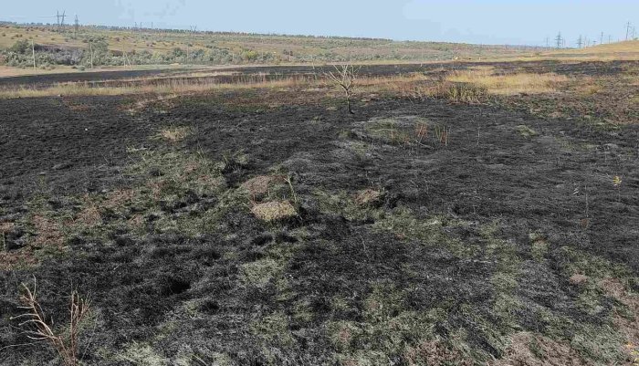 В Сызранском районе произошло возгорание сухой травы на площади 150 квадратных метров 