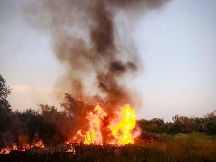 Вчера днём вблизи сельского поселения Преполовенка горели трава и мусор