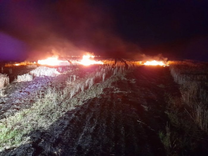 Красноярские огнеборцы тушили возгорания сухой травы