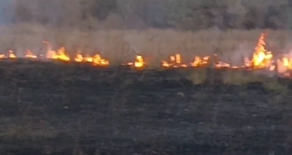 Возгорание сухой травы произошло вчера в Волжском районе