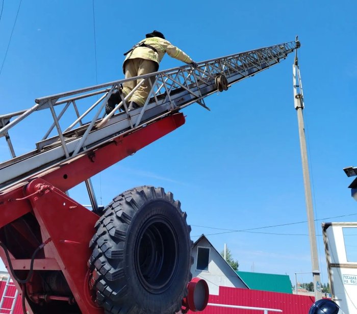 Занятия на пожарной автолестнице