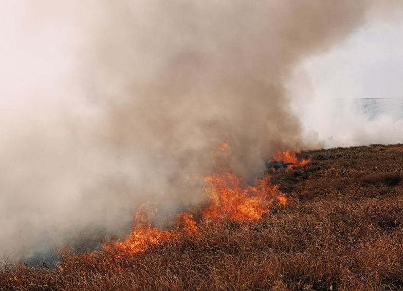 Богатовские огнеборцы дважды за дежурные сутки выезжали на тушение возгораний