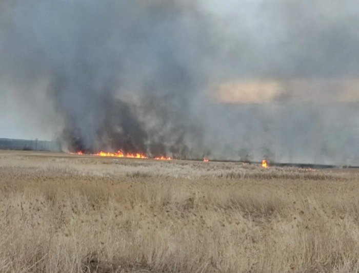 Наши огнеборцы ликвидировали пожар на площади 800 квадратных метров