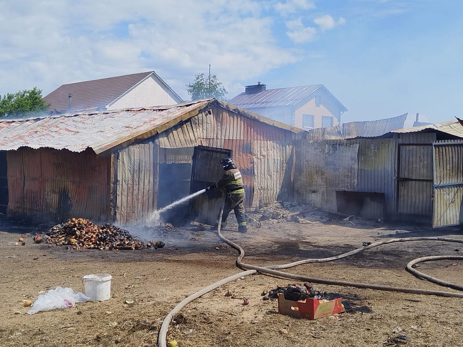 В Кинельском районе горели надворные постройки. При пожаре погибли домашние животные
