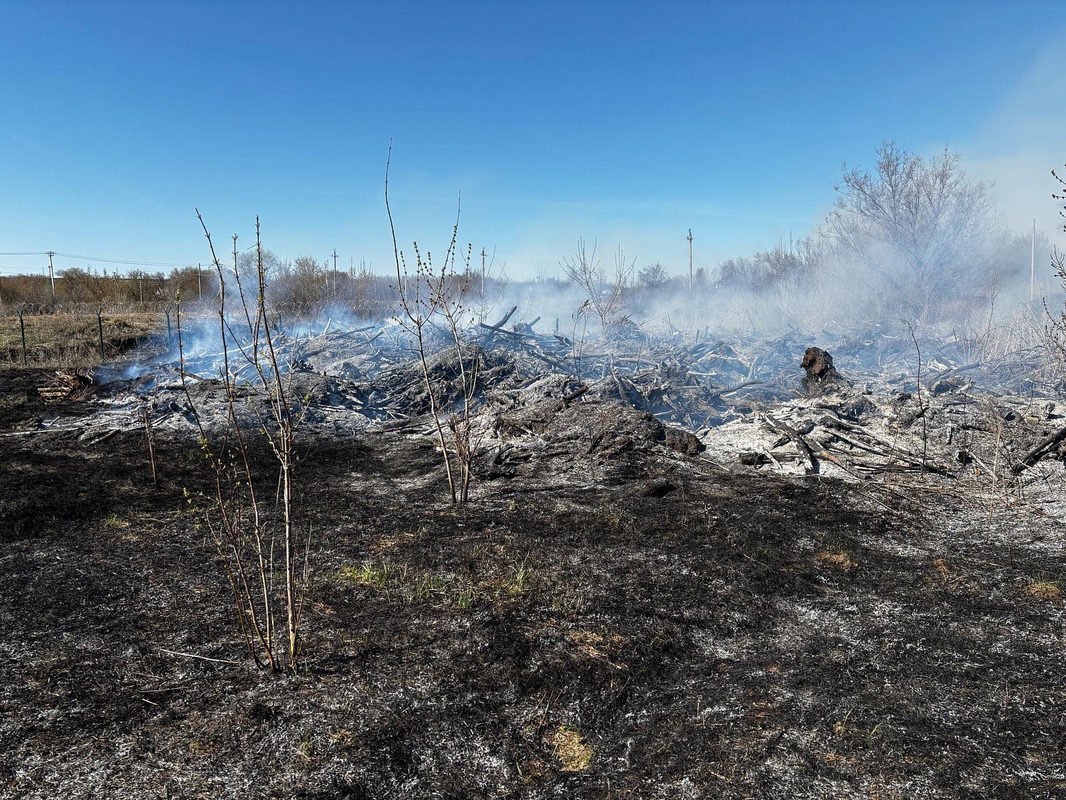 Возгорание сухой травы в Похвистневском районе